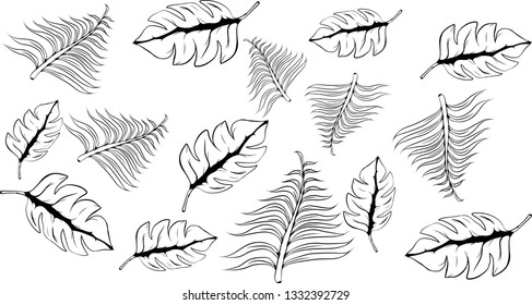 Pattern illustration of tropical leaves