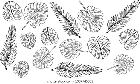 Pattern illustration of tropical leaves