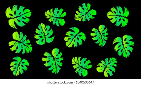 Pattern illustration of tropical leaves
