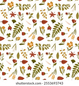 A pattern of illustrations of autumn foliage, flowers, and feathers made in a flat style. Dried leaves, flowers, and berries are varied on white. Packing with herbarium, dried flowers, storage