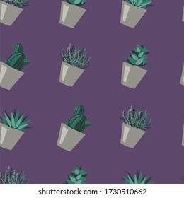 Pattern with the image of cacti and succulents on a purple background.