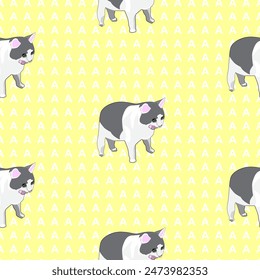 A pattern (infinite picture) of a cat meme - a white and grey cat screaming. The illustration is made in pastel colours. The picture conveys a joke, humour, laughter, anger, hatred.