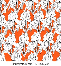 Pattern with iris flower. Big flower. manual graphics. coloring book for children and adults, botany, plant element for textile decor and wallpaper, scrapbooking.