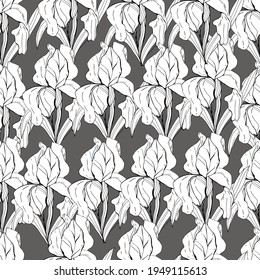 Pattern with iris flower. Big flower. manual graphics. coloring book for children and adults, botany, plant element for textile decor and wallpaper, scrapbooking.