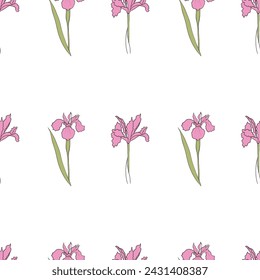 pattern with an iris flower drawn in vector, postcard with a delicate flower