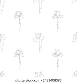 pattern with an iris flower drawn in vector, postcard with a delicate flower