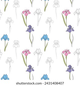 pattern with an iris flower drawn in vector, postcard with a delicate flower