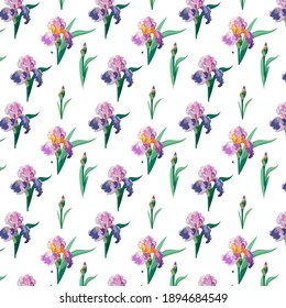 Pattern with irises on a white background