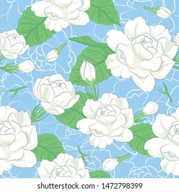 Pattern of jasmine flower on blue background