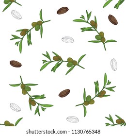 Pattern of jojoba branches on white background