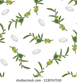 Pattern of jojoba branches on white background
