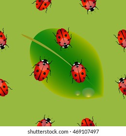 The pattern with ladybirds on a leaf.