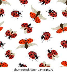 Pattern with ladybirds on a white background. Ladybugs on a white background in a colored seamless pattern.