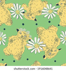 The pattern of lambs. Sheep and daisy seamless pattern. Vector illustration
