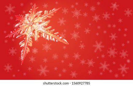 Pattern from a large snowflake in the upper left corner on a red background filled with small snowflakes