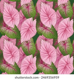 Patrón con hojas tropicales Grandes, hojas exóticas verdes y rosas, patrón de caladio para textiles, fondo para diseño e ilustración