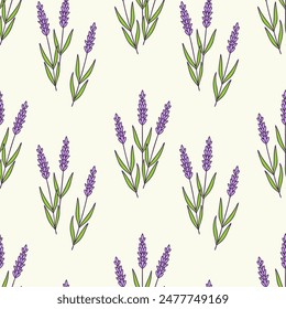 Pattern with Lavender flowers doodle, Provencal style, on pastel background. Vector illustration