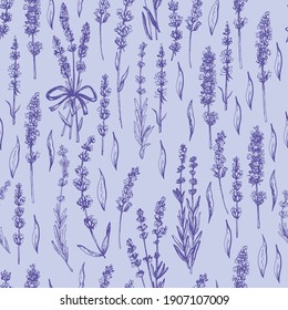 Pattern with lavender flowers. Vector illustration. Manual graphics.