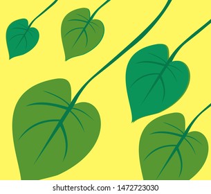 pattern leaf tropical so clean