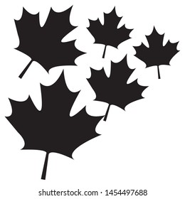 pattern of leafs maple canada