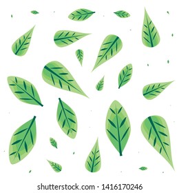 pattern of leafs naturals vector ilustration