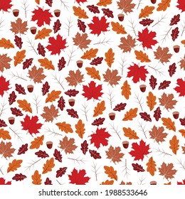 Pattern with leaves and branches in the colors of autumn on a transparent background.