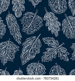 pattern of the leaves doodles