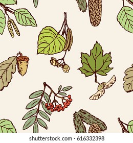 pattern of the leaves, fruit and seeds of the different trees