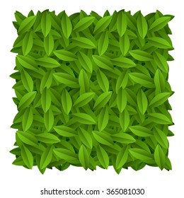 Pattern leaves green background nature.