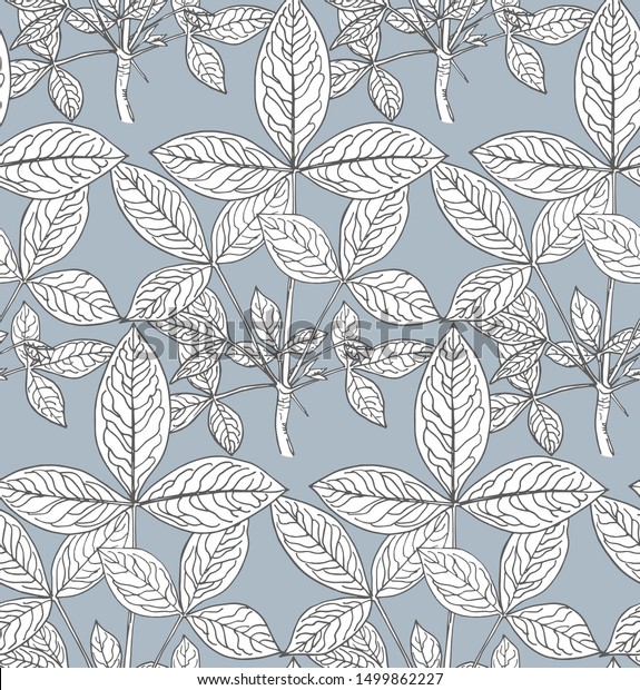 Pattern Leaves Laburnum Hand Drawn Botanical Stock Vector (Royalty Free ...