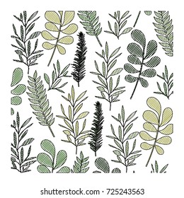 pattern leaves of plants on color crayon silhouette vector illustration