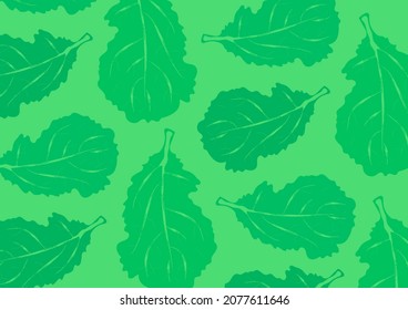 Patrón con hojas, boceto de hierbas aisladas sobre fondo de adorno verde, ilustraciones de verduras dibujadas a mano