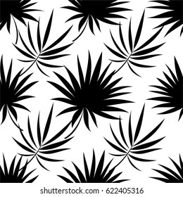 Pattern of leaves of a tropical palm tree