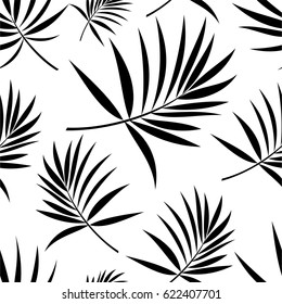 Pattern of leaves of a tropical palm tree