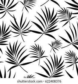 Patrón de hojas de una palmera tropical