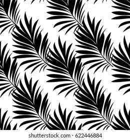 Pattern of leaves of a tropical palm tree
