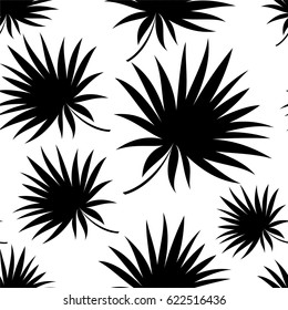Pattern of leaves of a tropical palm tree