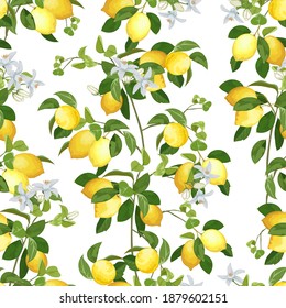 A pattern of lemon branches with flowers.Lemon branches with fruits and flowers in a colored seamless pattern.