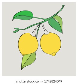 Pattern lemon on white and color background.