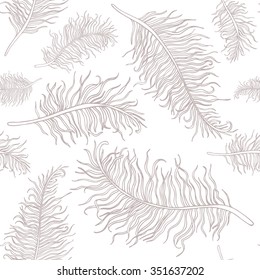 The pattern of light beige feathers on a white background