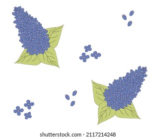 The pattern of lilac branches