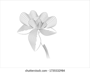 fondo de fondo de flores de arte de línea de patrones