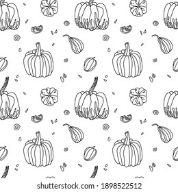 Pattern with linear pumpkins and pumpkin seeds on a white background