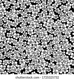 Pattern with little daisies. wild flower with medicinal properties. botanical hand graphics. white camomile. Background for textiles, wallpaper, packaging, cosmetics. stock graphics, isolate