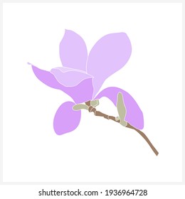 Pattern of magnolia branches.Image on a white and color background.