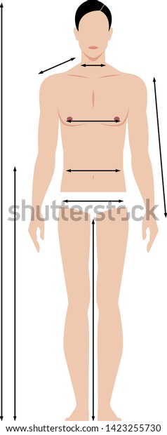 Pattern Male Body Measurements Full Length Stock Vector
