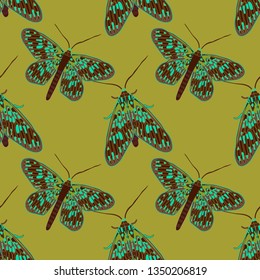 Pattern of many butterflies