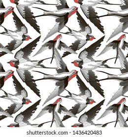 Pattern many swallows in different positions
