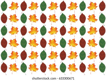 Pattern from maple and birch leaves on a white background