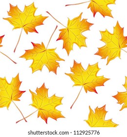 pattern maple leaf yellow, isolated on white background vector